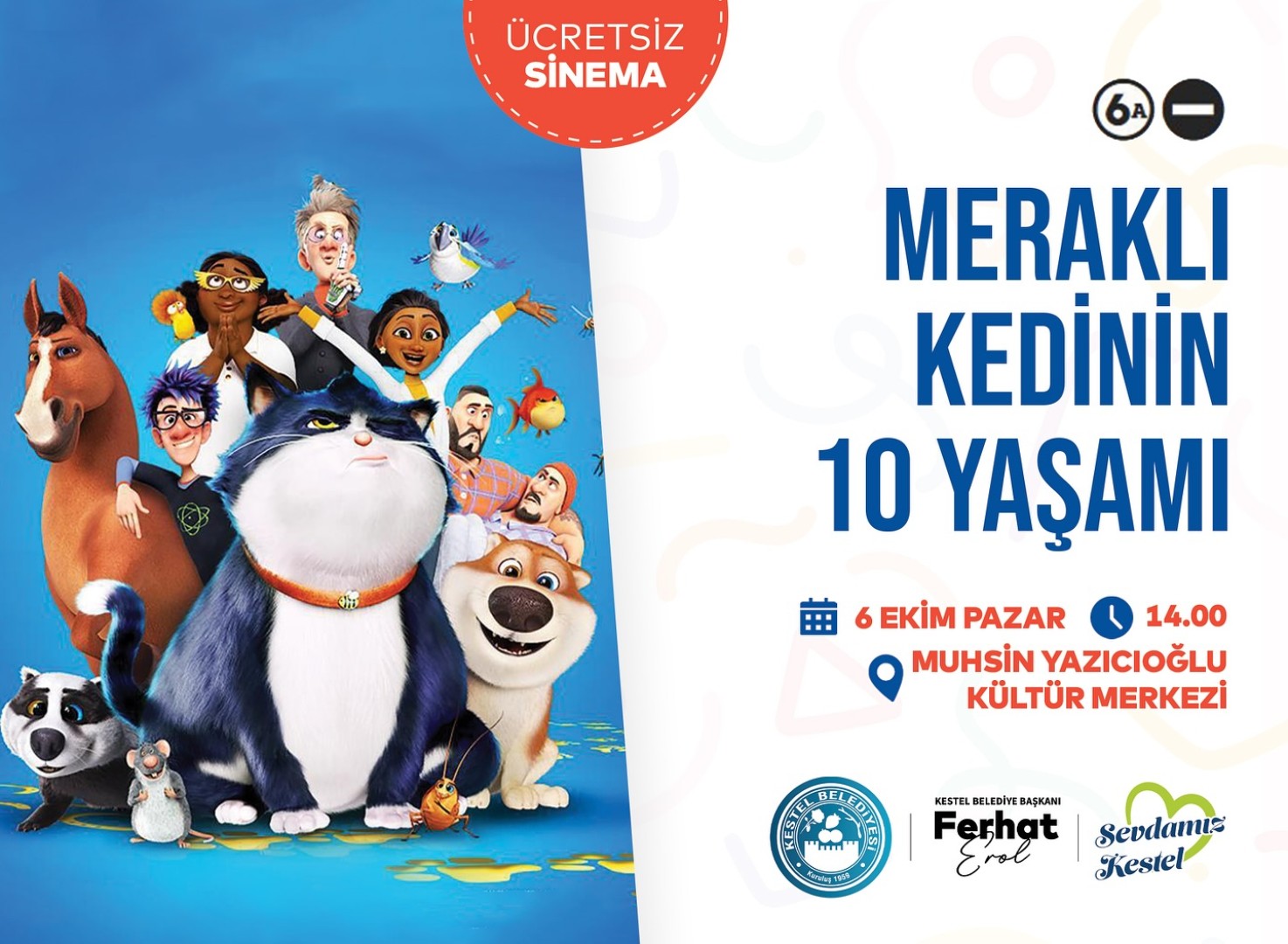 Meraklı Kedinin 10 Yaşamı