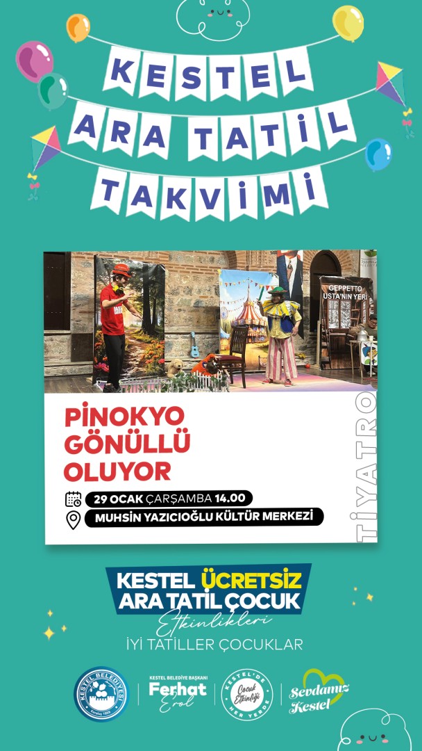 Pinokyo Gönüllü Oluyor