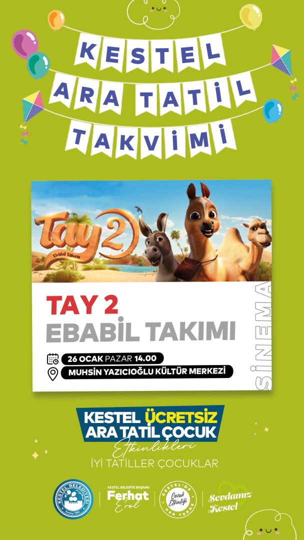 Tay 2 Ebabil Takımı